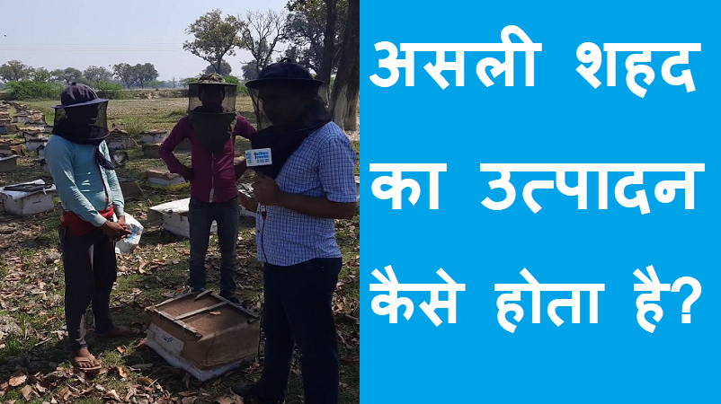 #madhumakhi_palan असली शहद का उत्पादन कैसे होता है?